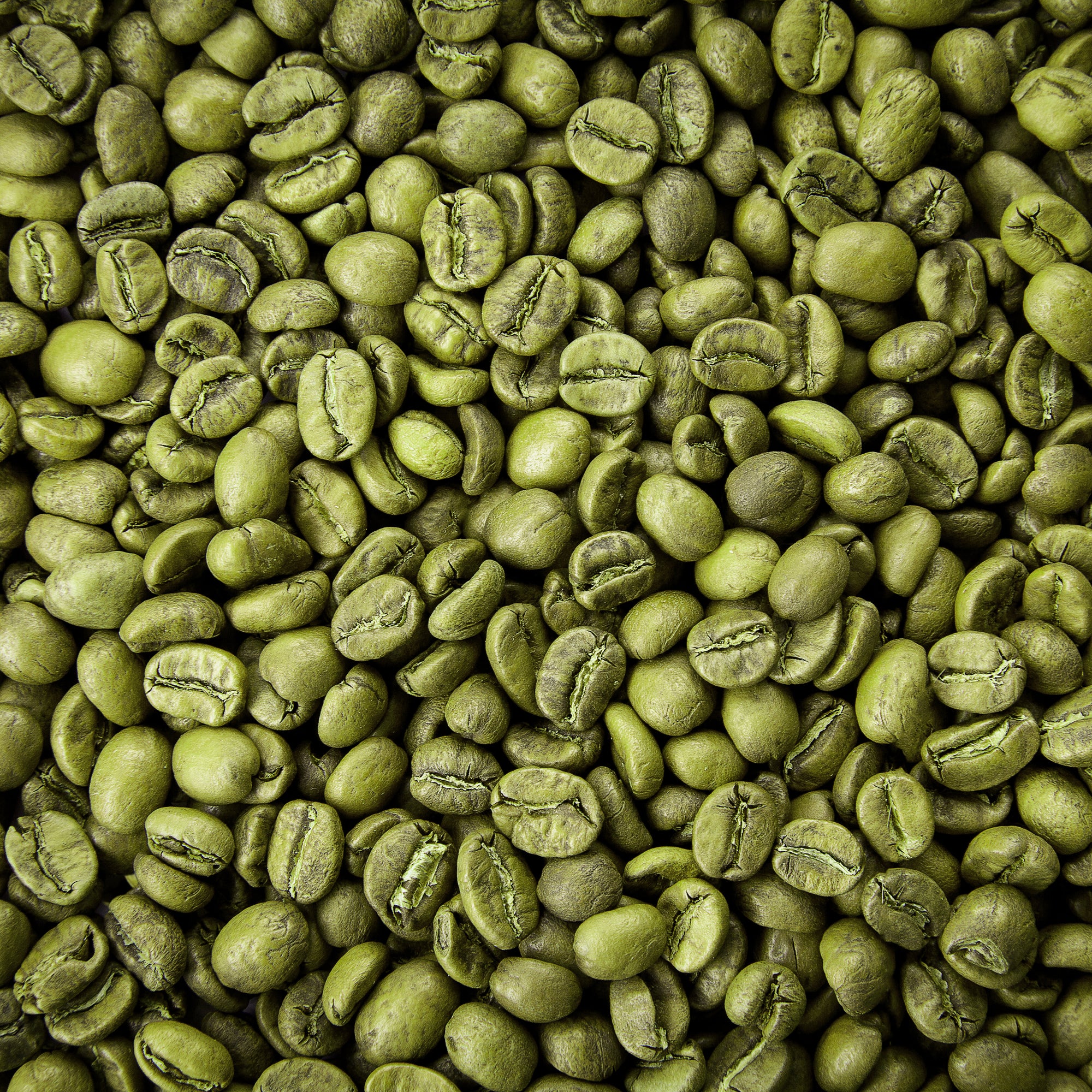 Green Coffee Oil - Coffea Arabica