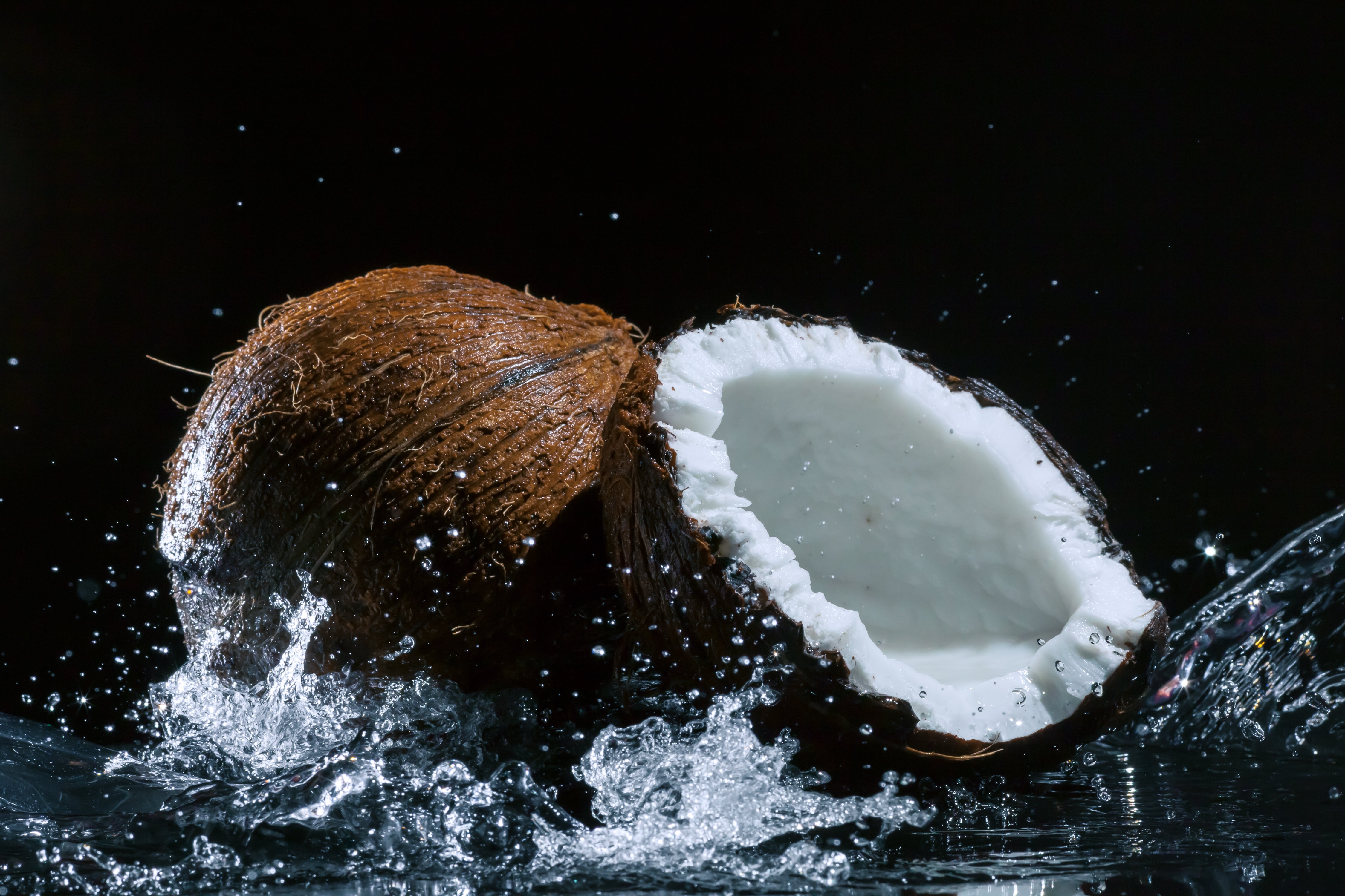 Coconut Oil - Cocos Nucifera